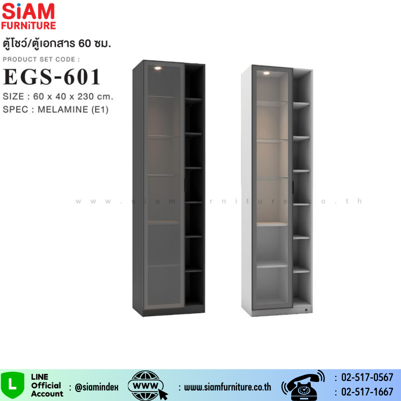 ตู้โชว์ , ตู้เอกสาร 60 ซม. Exwork  รุ่น  EGS-601