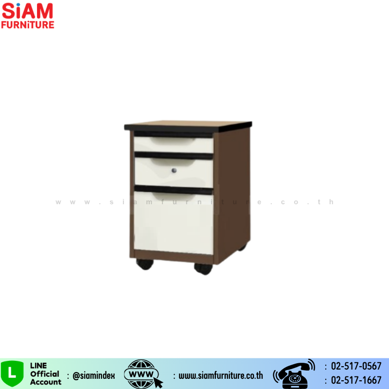 ลงเว็บไซต์ (2)